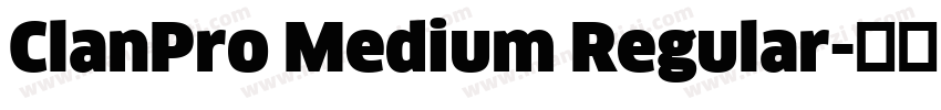 ClanPro Medium Regular字体转换